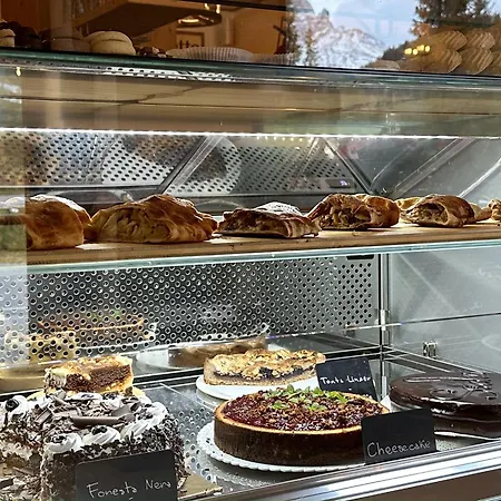 Dolomiti Des Alpes Hotel *