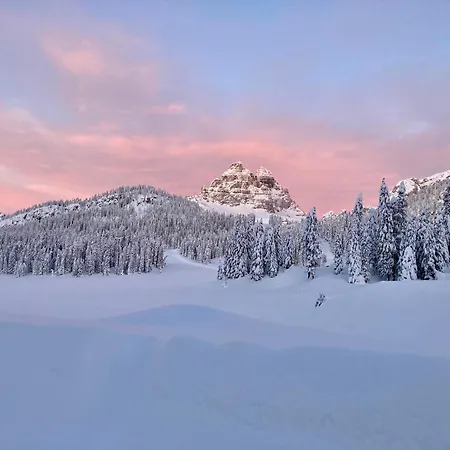 Hotel Dolomiti Des Alpes Misurina