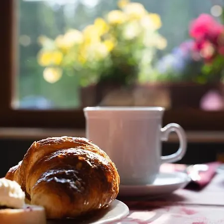 Ξενοδοχείο Dolomiti Des Alpes