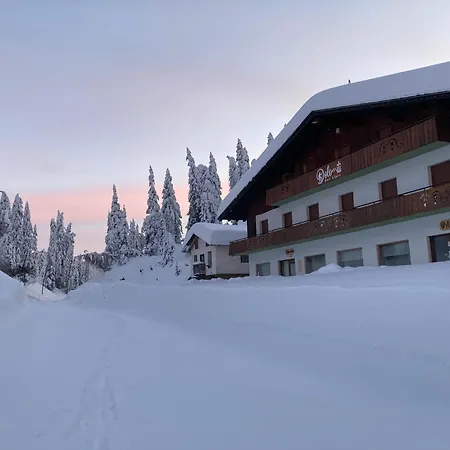 Dolomiti Des Alpes *