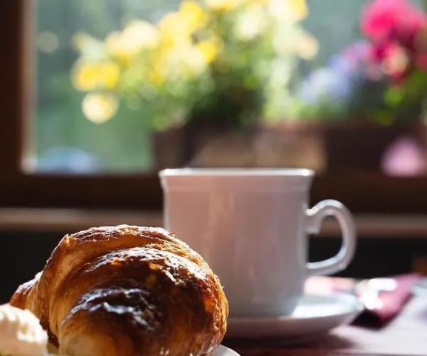 Hotel Dolomiti Des Alpes